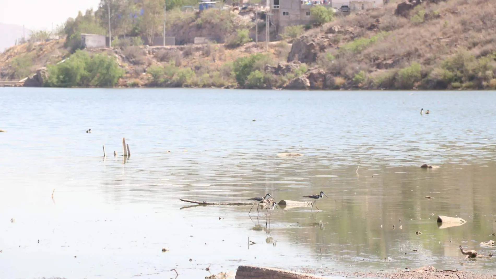 presas agua sequía 